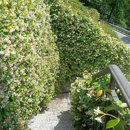 Casa Elisa 公寓 *